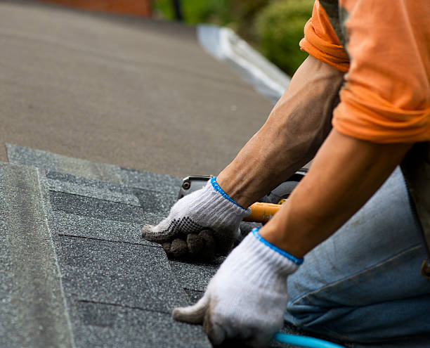 Best Roof Gutter Cleaning  in Enterprise, OR